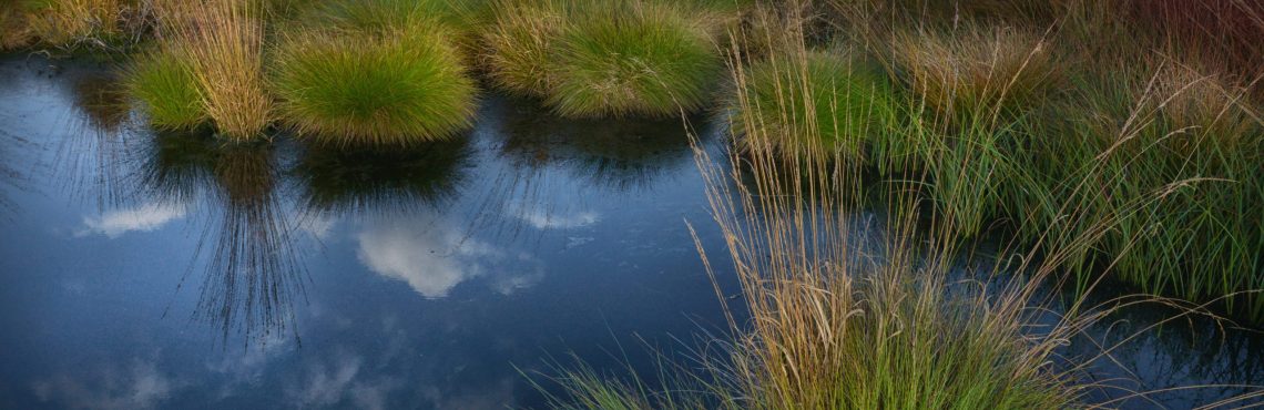 Moorlandschaft mit Spiegelung